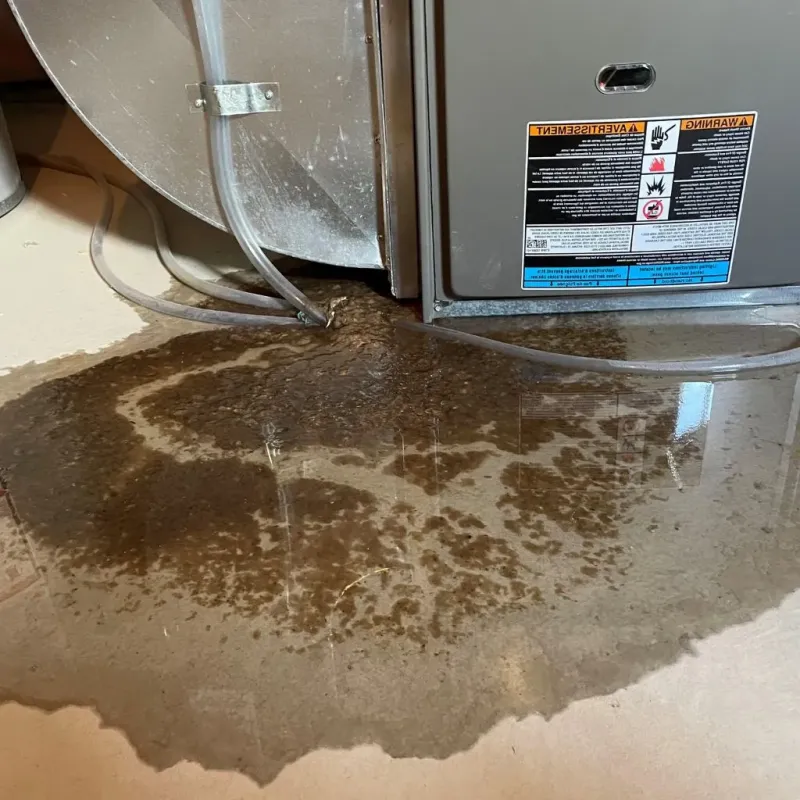 Pipe Burst and Leak Restoration in Auburn, NY